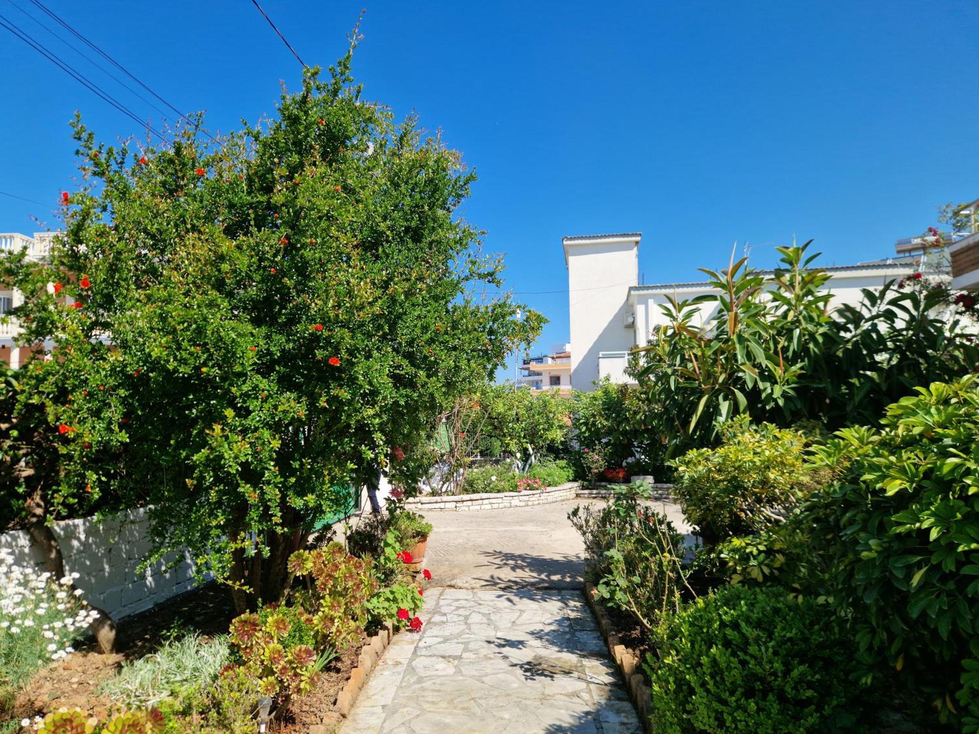 Violeta * Ksamil